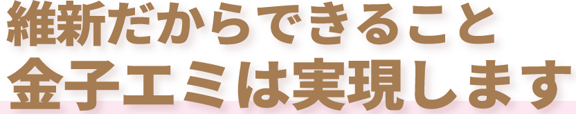 維新だからできること金子エミは実現します
